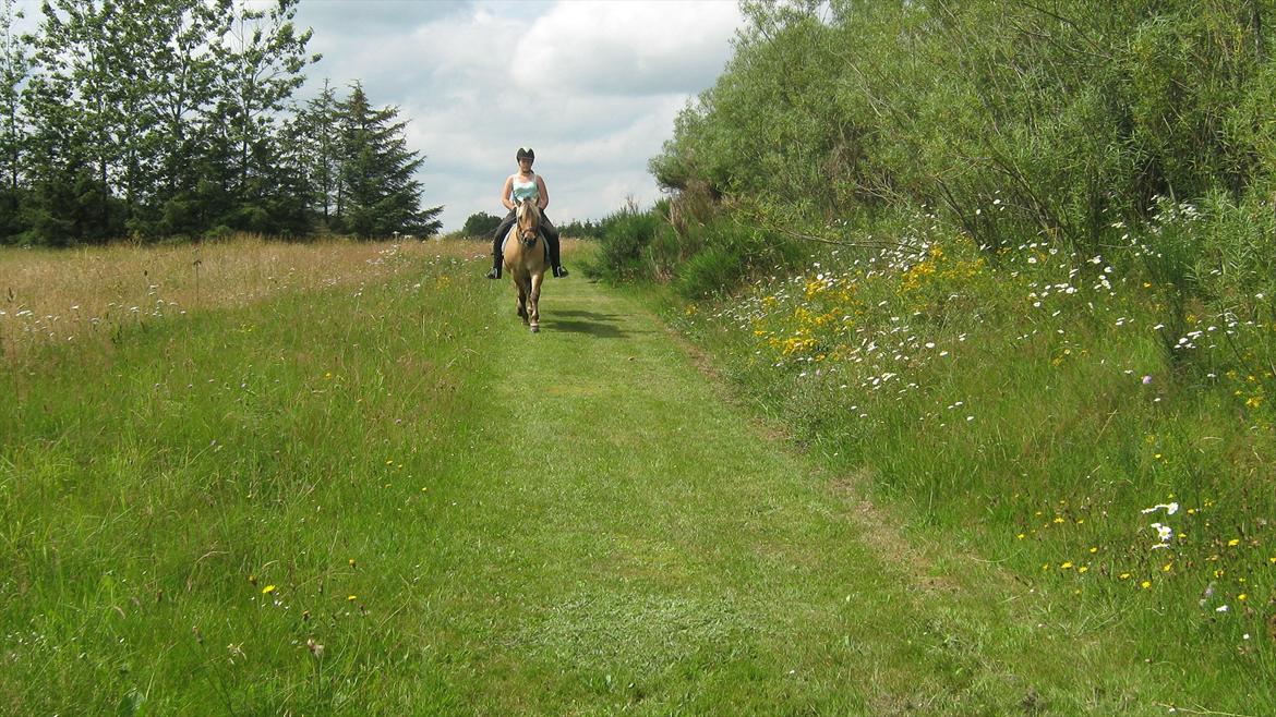 Anden særlig race Tulle (solgt og savnet) - Maria & Tulle billede 21