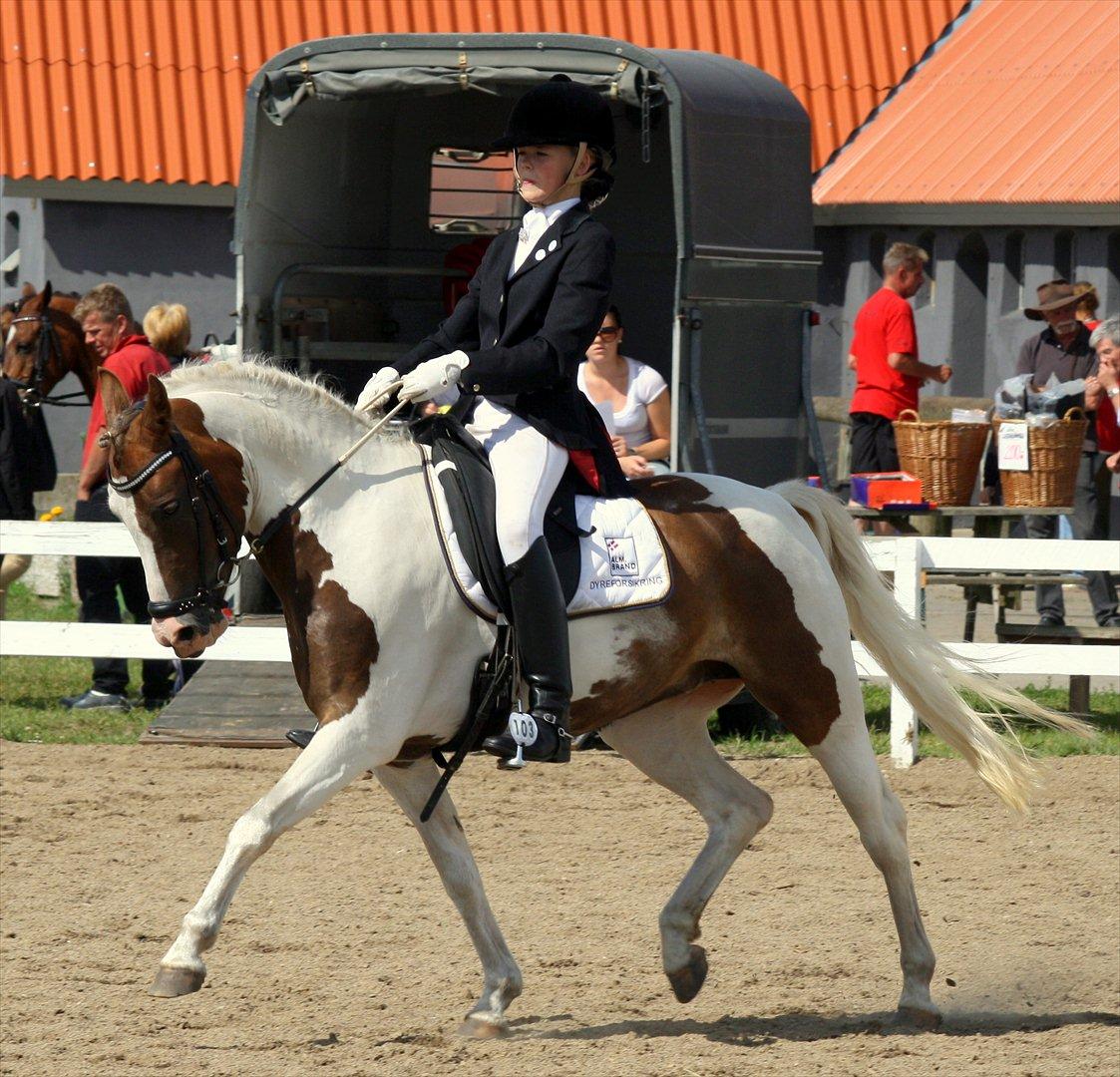 Anden særlig race Sunflower - B-PONY - Stævne i Hodsager - Vandt begge klasser anden dag, LB3 med 72,25% og LA1 med 72,76% - YNDLINGSPONY<3 billede 3
