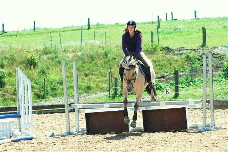 Fjordhest Lady - LadyDyret<3 ;b - 17) Spring træning. billede 17