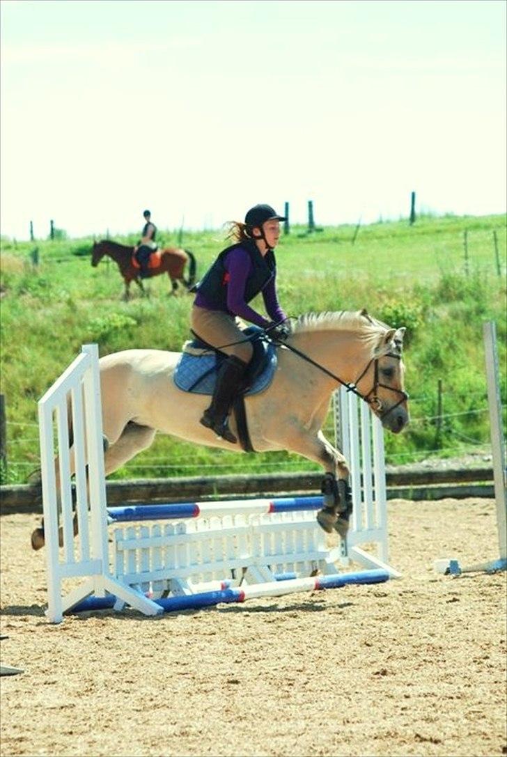 Fjordhest Lady - LadyDyret<3 ;b - 19) Et lille opvarmnings hop!  billede 19