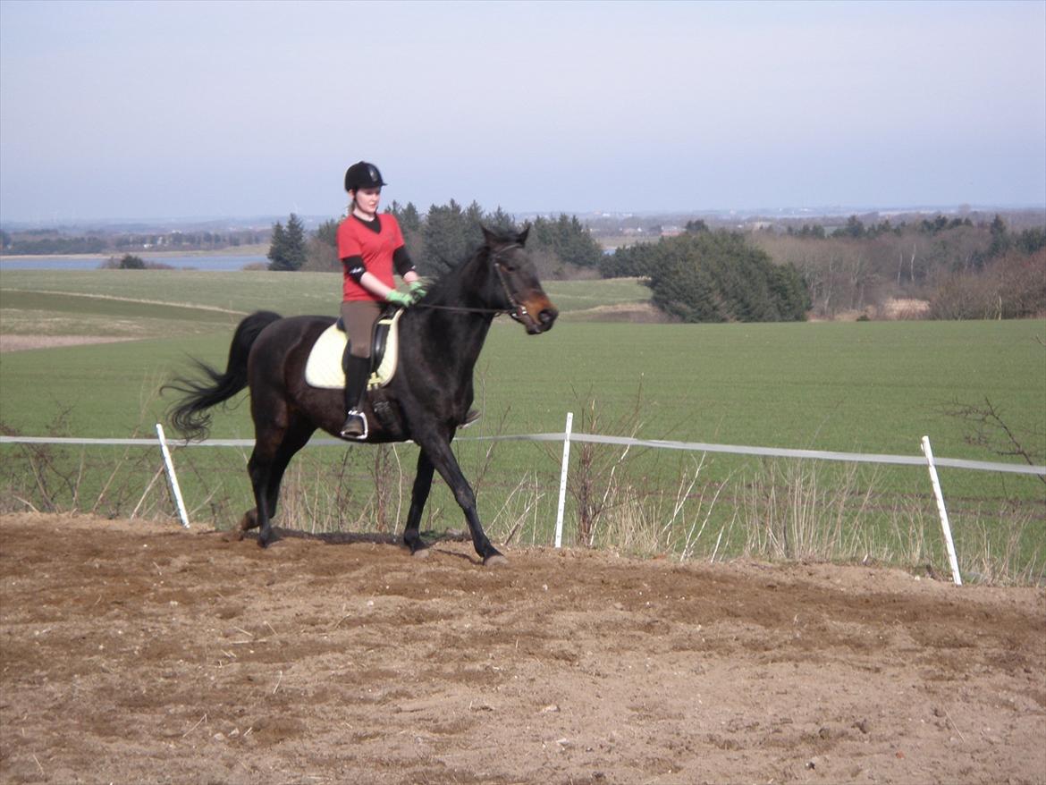 Oldenborg Rosita - #13 billede 13