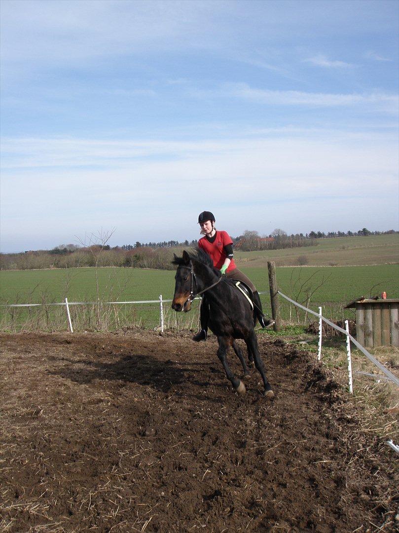 Oldenborg Rosita - #14 billede 14