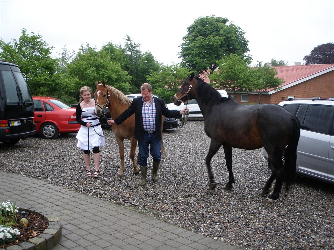 Oldenborg Rosita - #15 billede 15