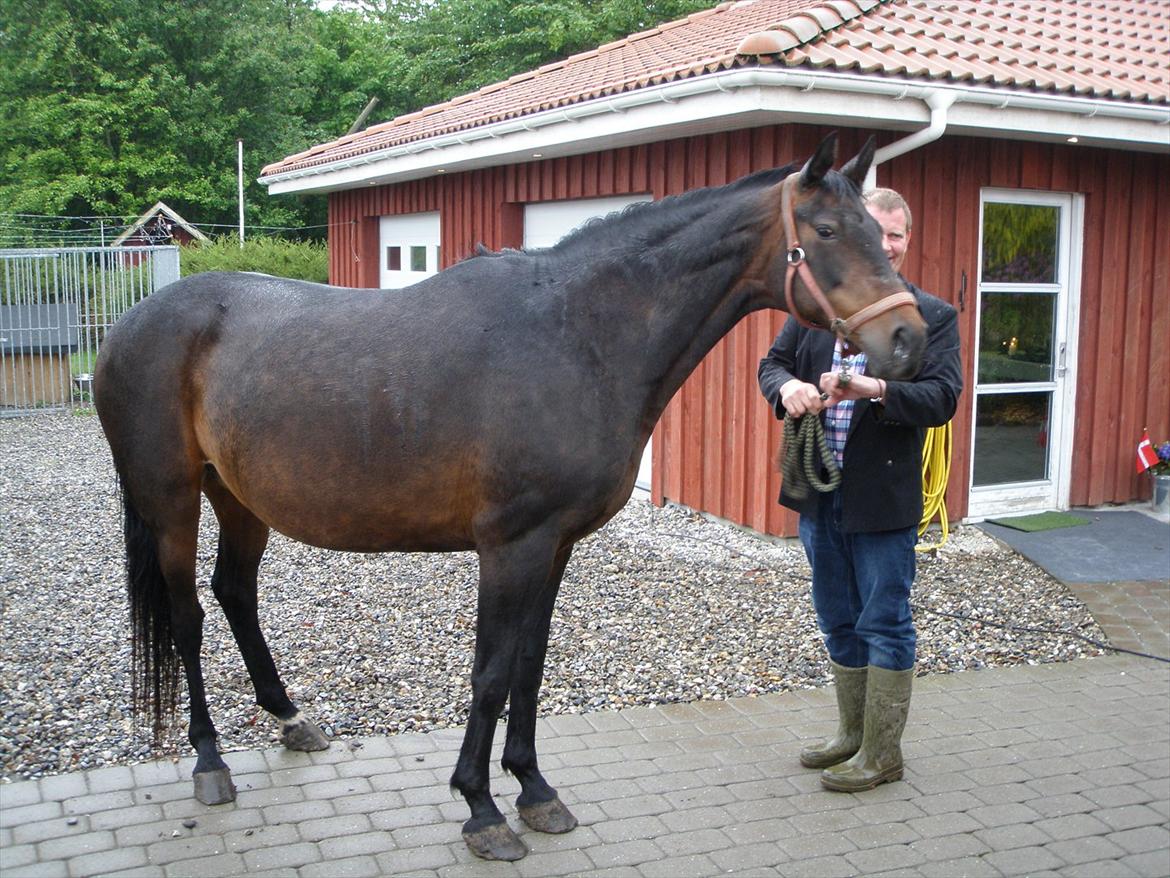 Oldenborg Rosita - #16 billede 16