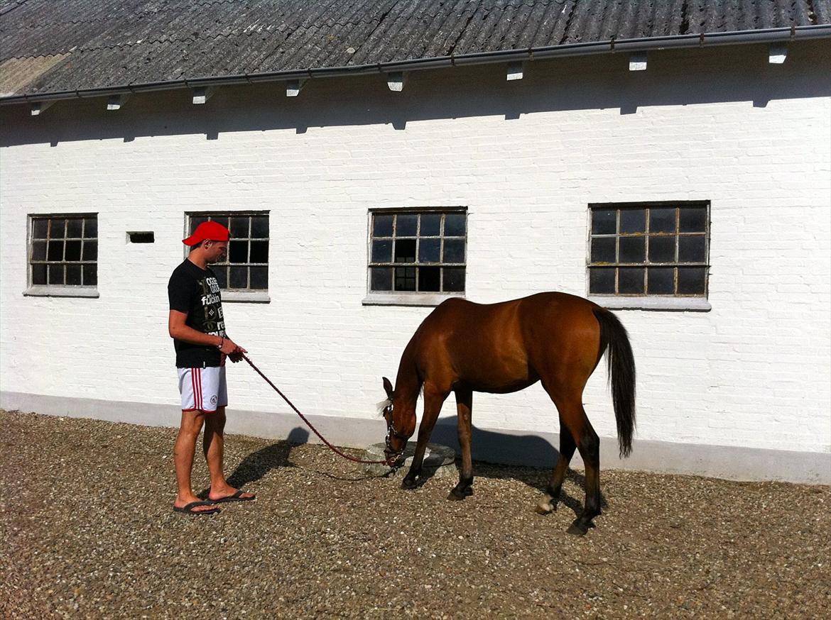 Anden særlig race Ahmad (Ferrari) - mine 2 skønne gutter  billede 8