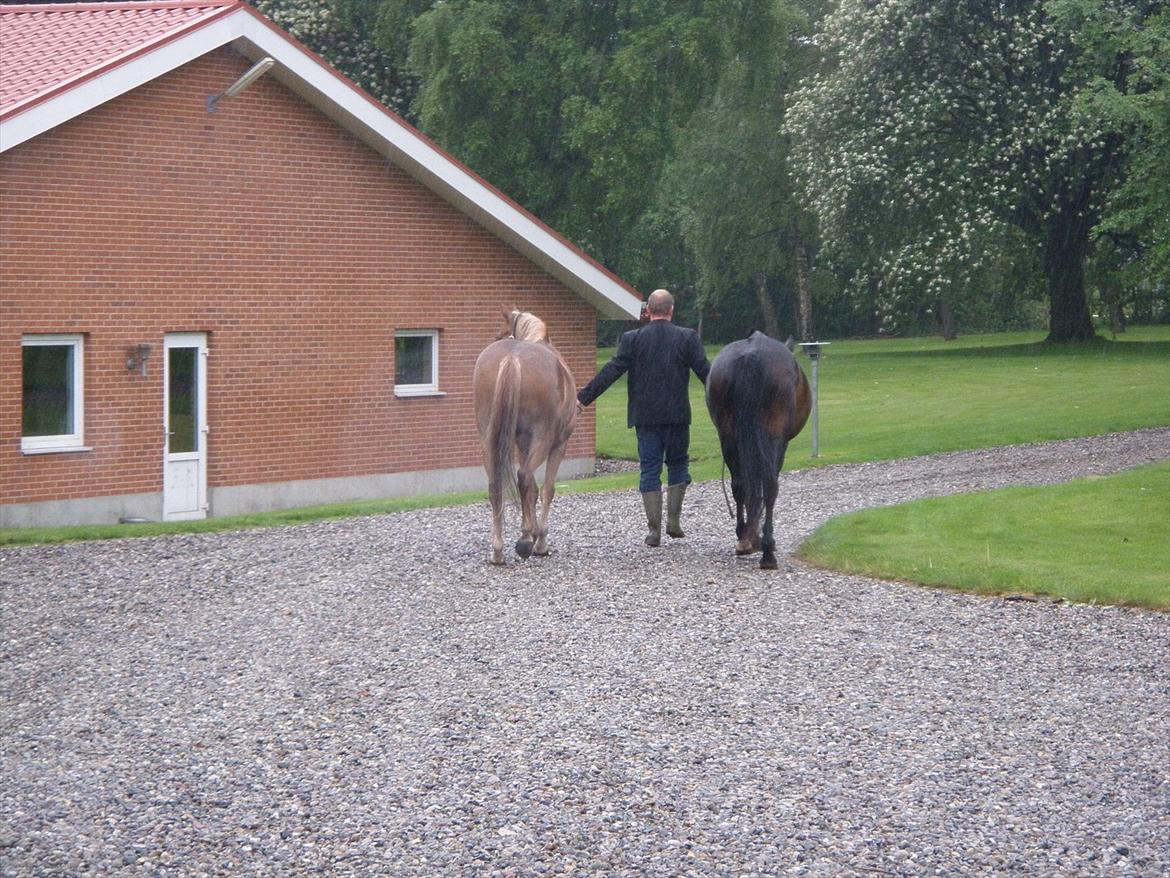 Oldenborg Rosita - #17 - Når enden er god er alting godt!xD billede 17