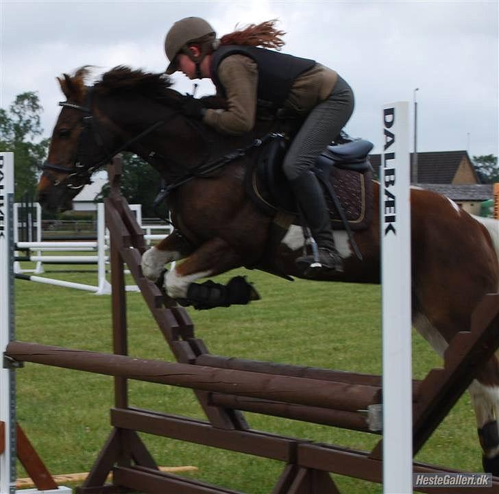 Anden særlig race Charlie *B-PONY* **R.I.P D. 13.03.2012** billede 2