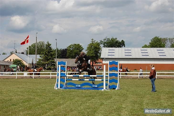 Anden særlig race Charlie *B-PONY* **R.I.P D. 13.03.2012** billede 9