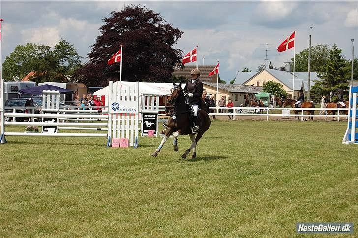Anden særlig race Charlie *B-PONY* **R.I.P D. 13.03.2012** billede 10