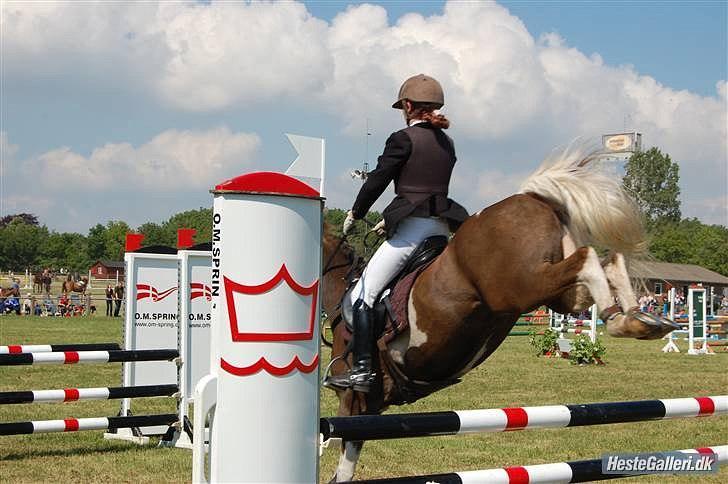 Anden særlig race Charlie *B-PONY* **R.I.P D. 13.03.2012** billede 12