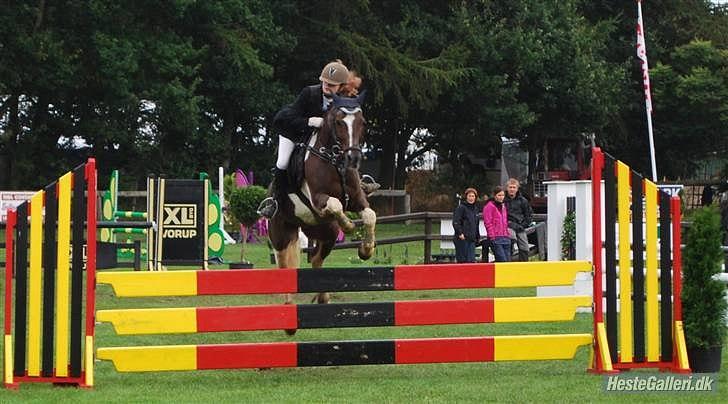 Anden særlig race Charlie *B-PONY* **R.I.P D. 13.03.2012** billede 13