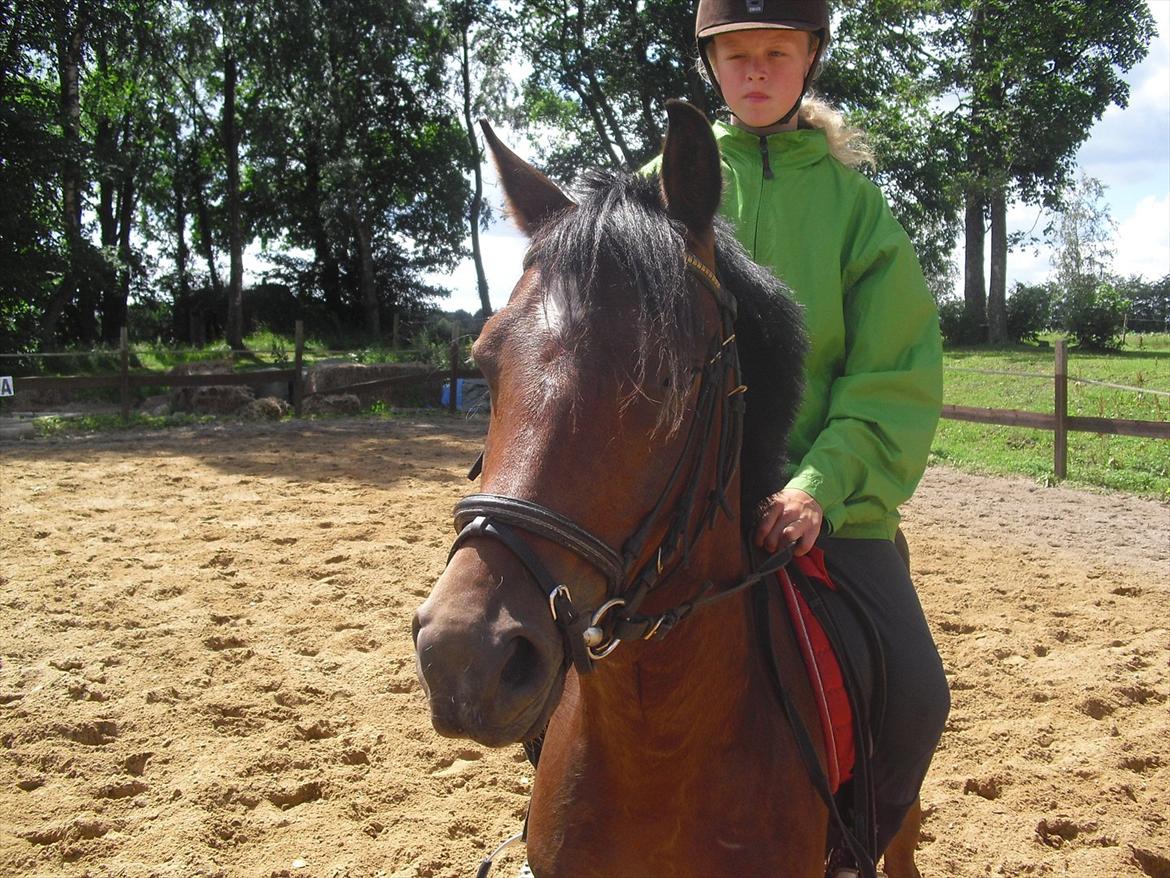 DSP Marain Charming - SOLGT billede 1