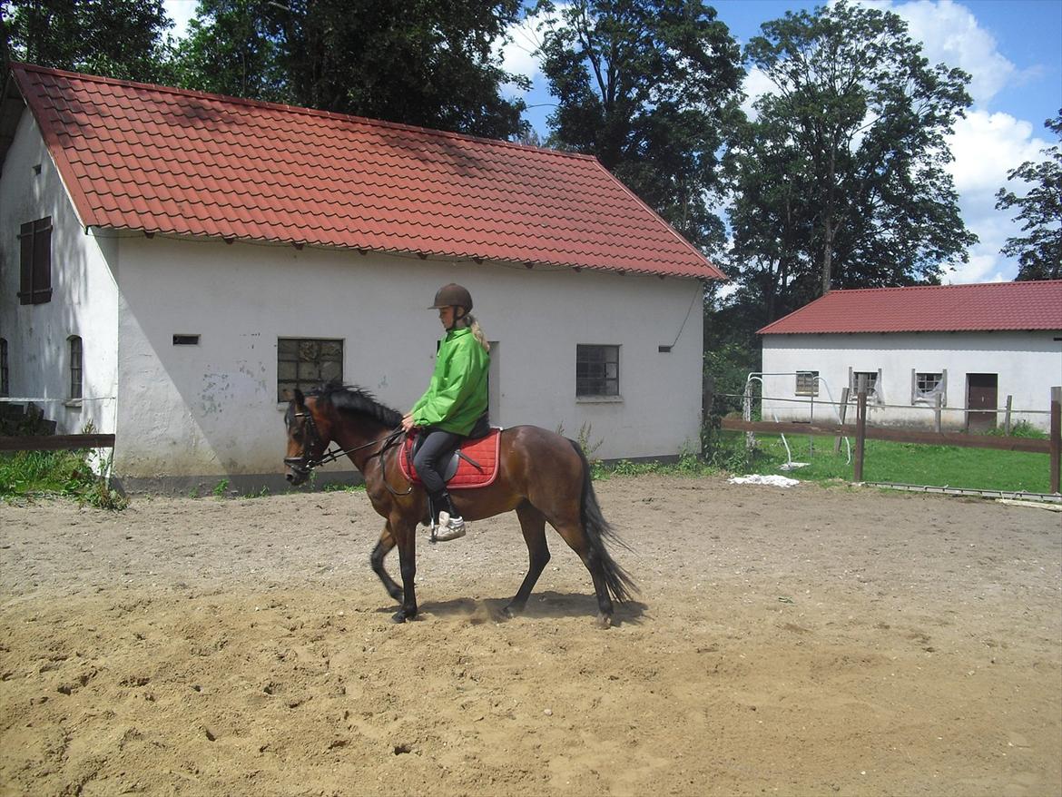 DSP Marain Charming - SOLGT billede 3