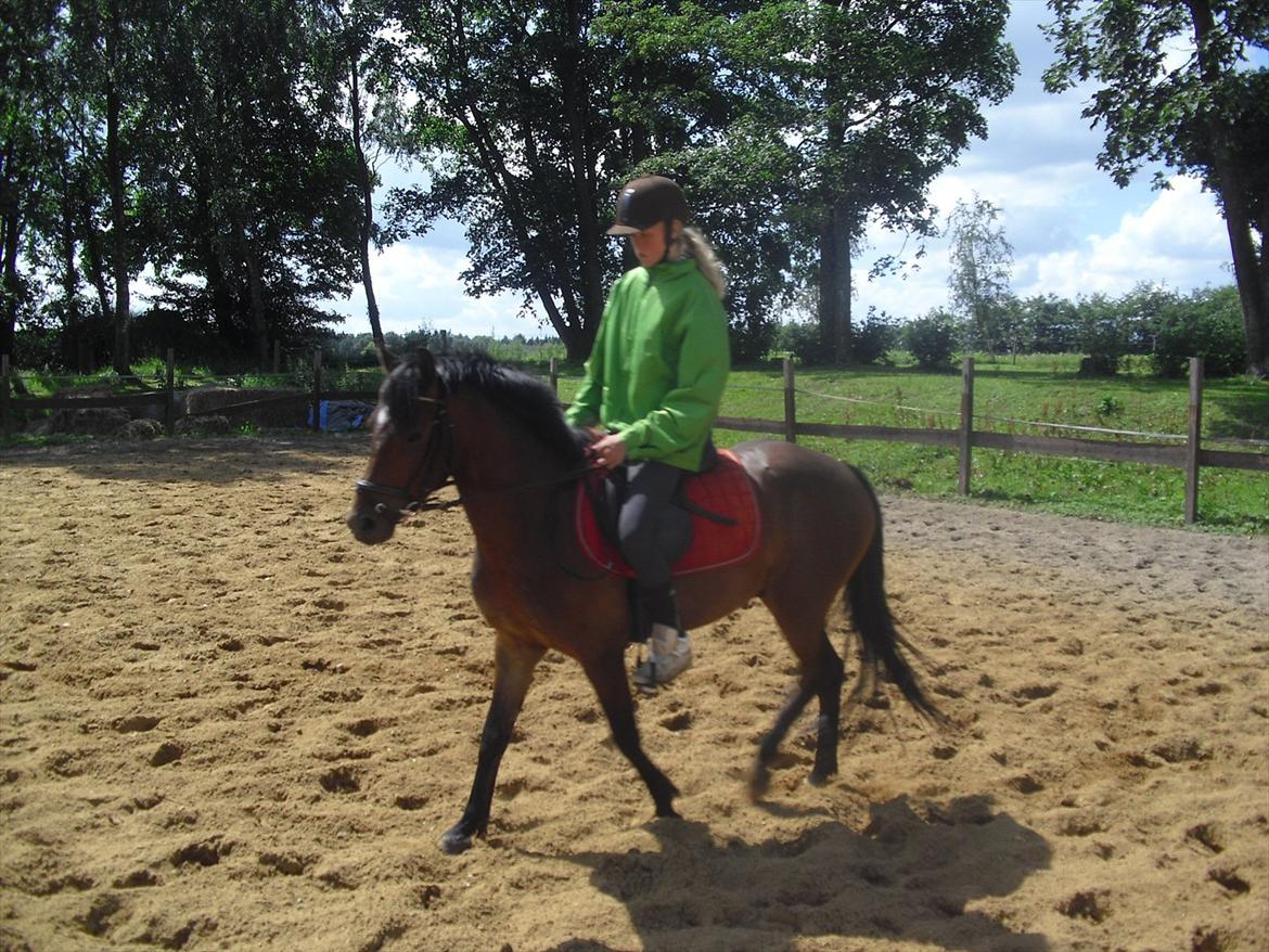 DSP Marain Charming - SOLGT billede 4