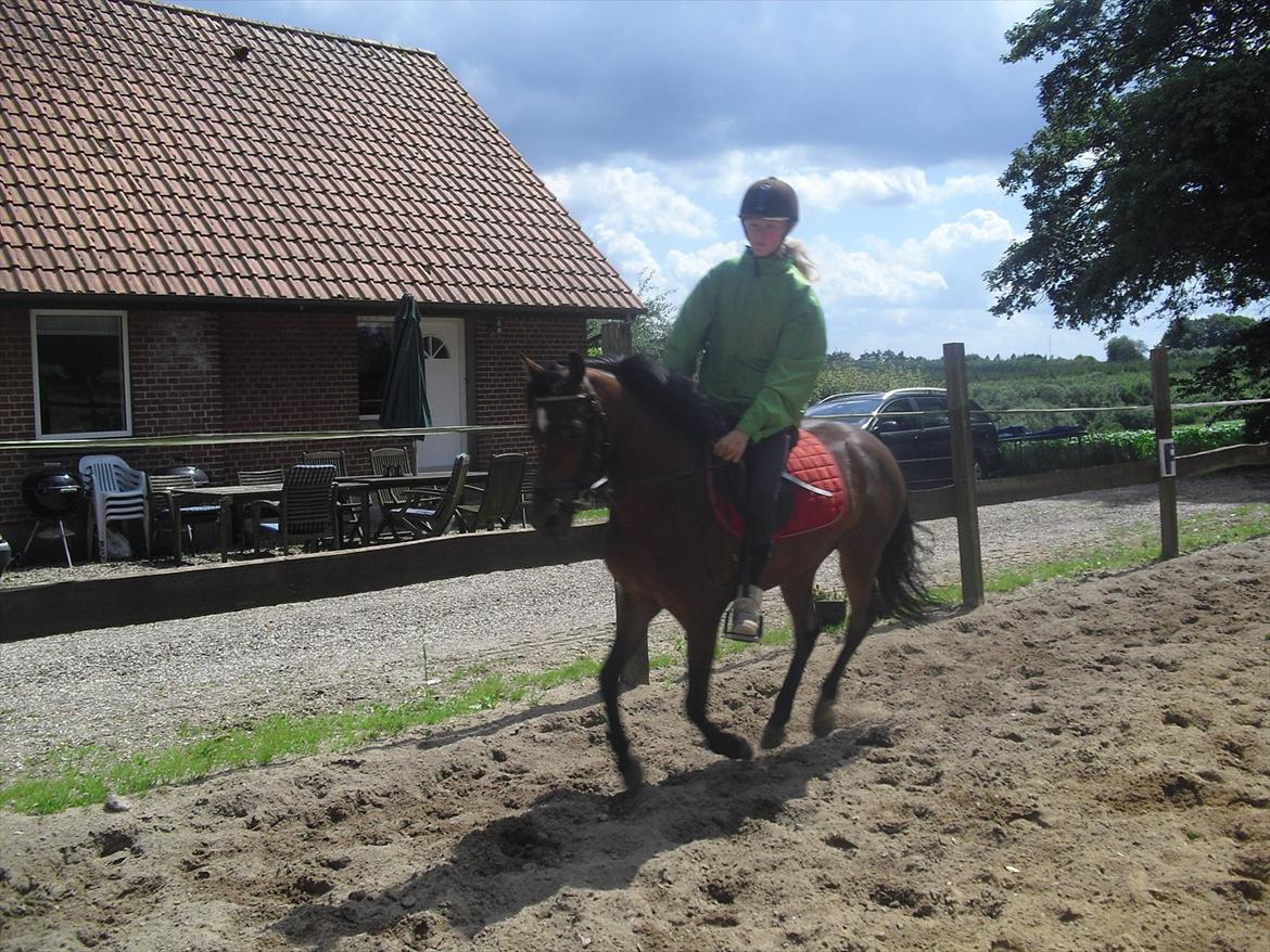 DSP Marain Charming - SOLGT billede 5