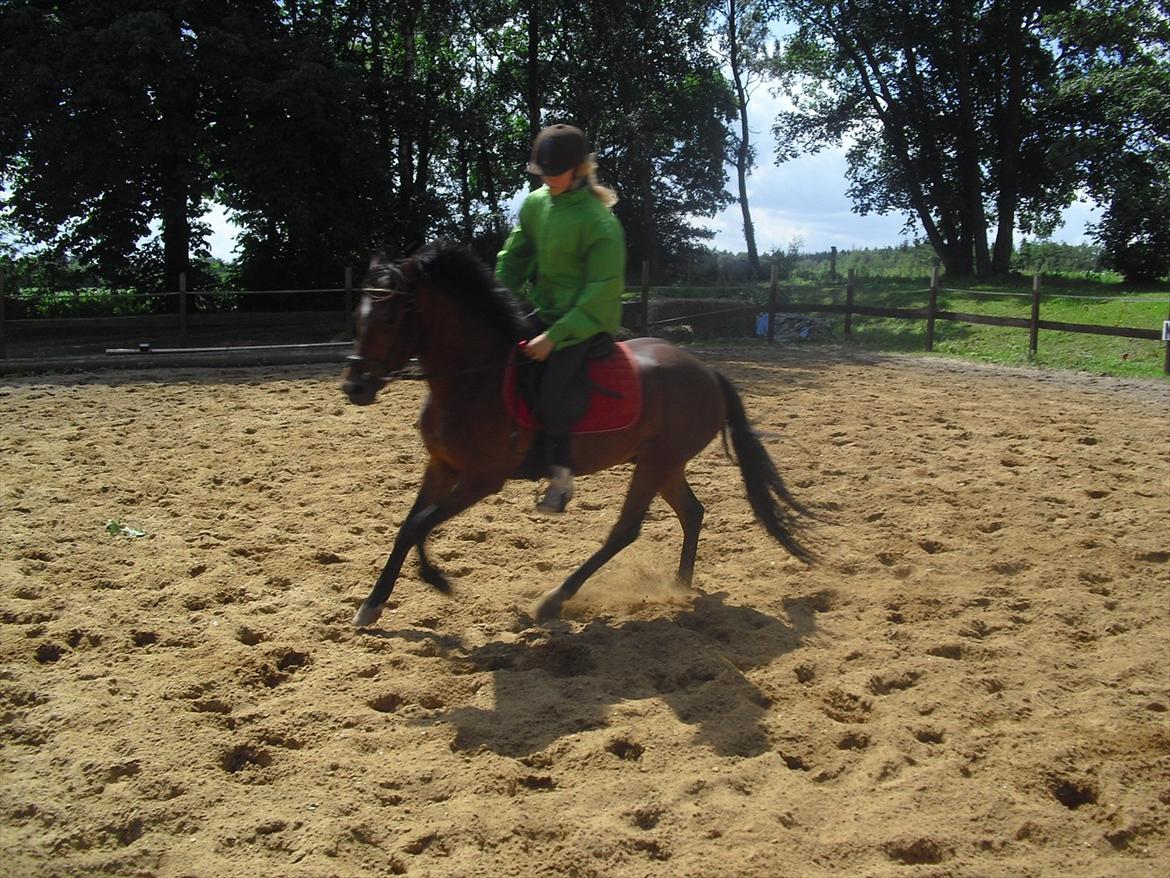 DSP Marain Charming - SOLGT billede 6