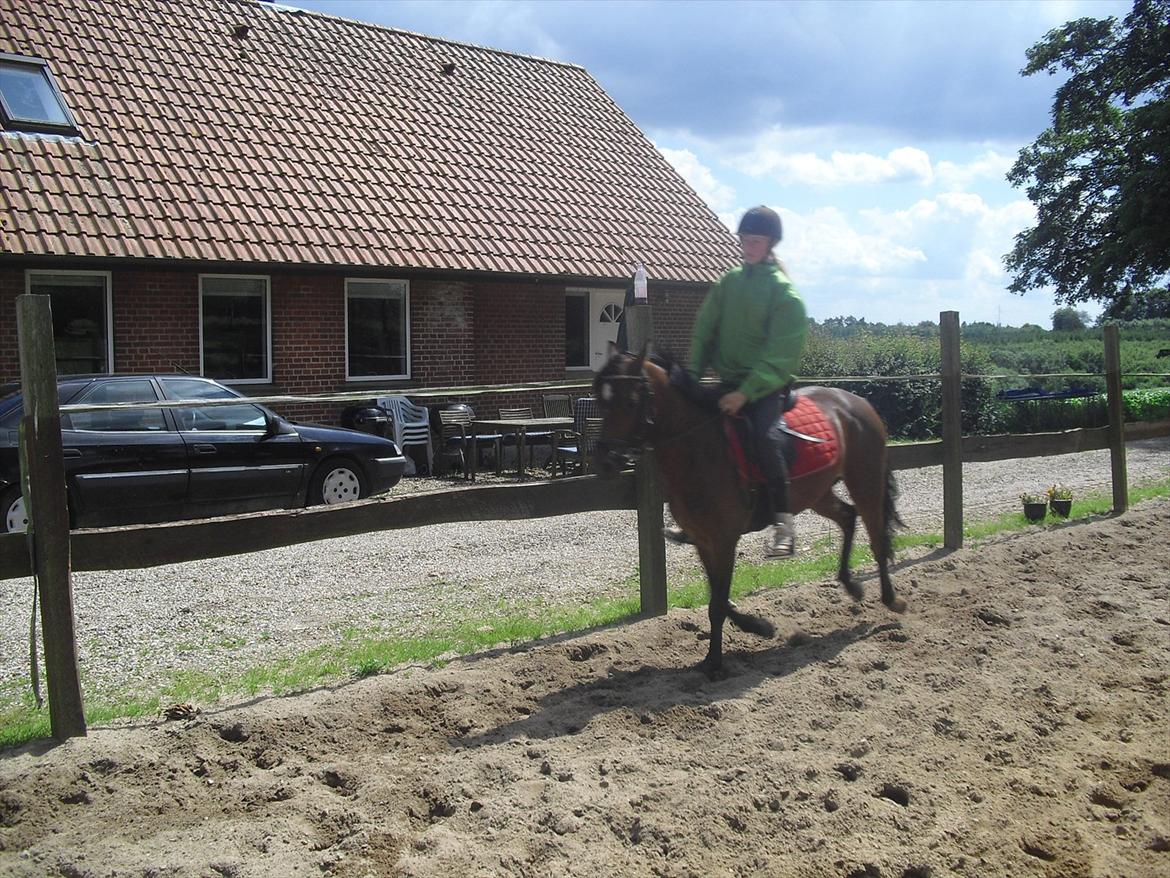 DSP Marain Charming - SOLGT billede 7