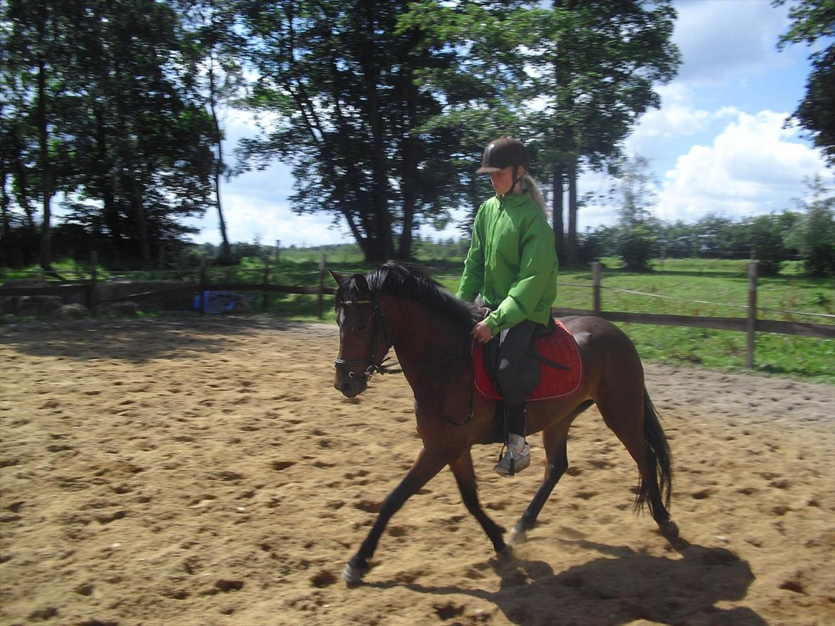 DSP Marain Charming - SOLGT billede 9