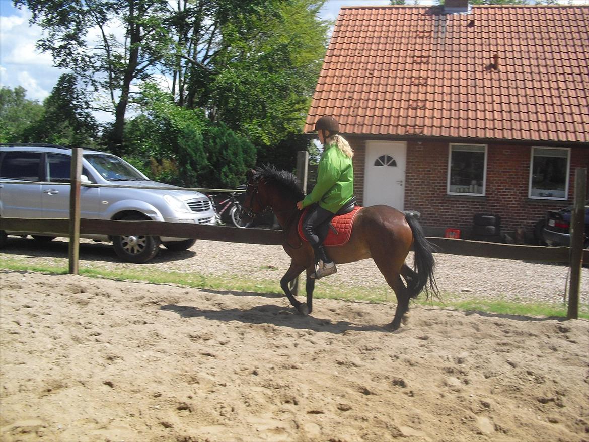 DSP Marain Charming - SOLGT billede 10