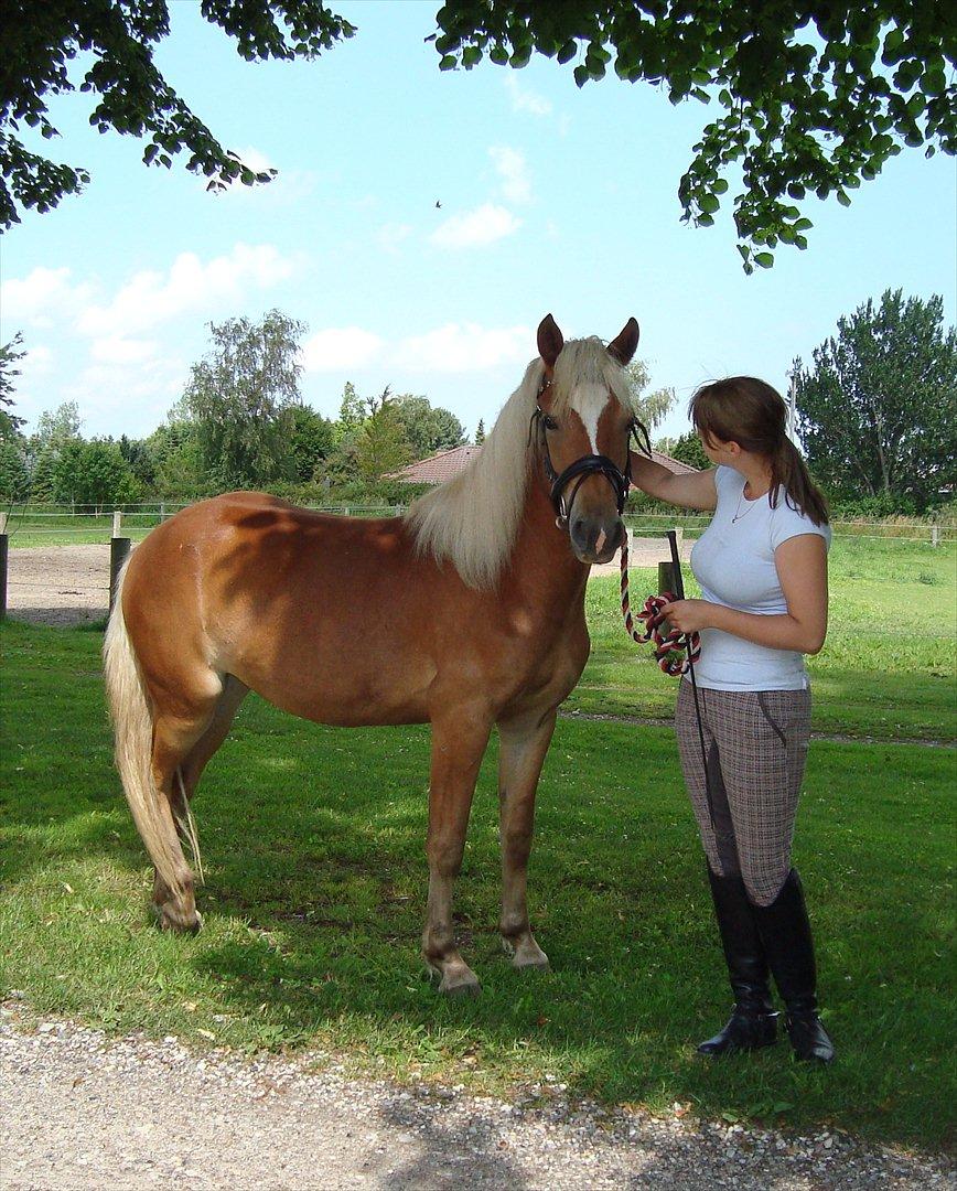 Anden særlig race Pennylane - Mig & Penny sommer 2011 billede 6