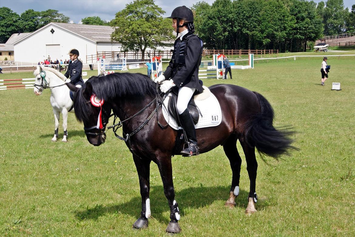 Anden særlig race Whisky<3 - Præmieoverrækkelse LD

1.Plads<3 billede 16