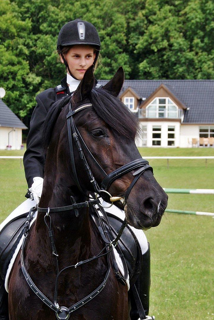 Anden særlig race Whisky<3 - <3 billede 18