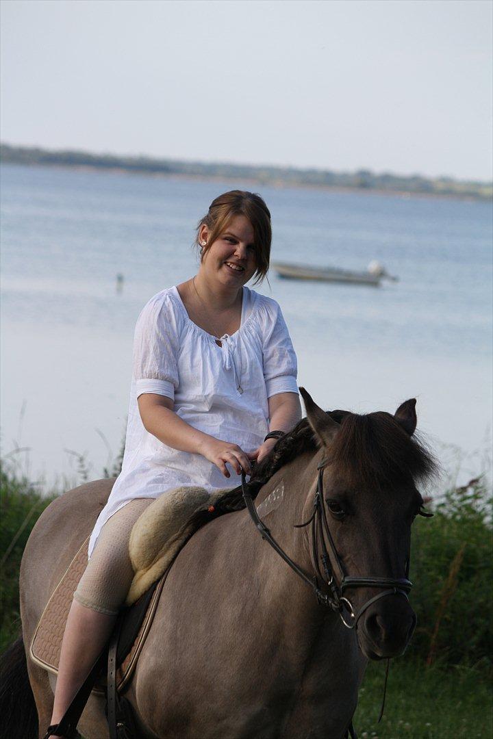 Islænder Sunna fra Vrangbækgård - Sunna den sidste dag 11.7.2011 <3 billede 1