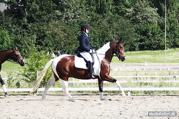 Anden særlig race BOJARD - Bojard og mig til et af de aller sidste stævner han gik, jeg vil aldrig glemme min plettede stjerne :'( <3 du er noget helt specielt.. Foto: Sabina Larsen billede 2