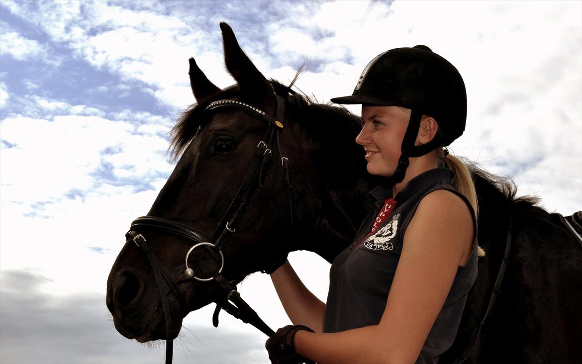 Dansk Varmblod Leasy billede 11