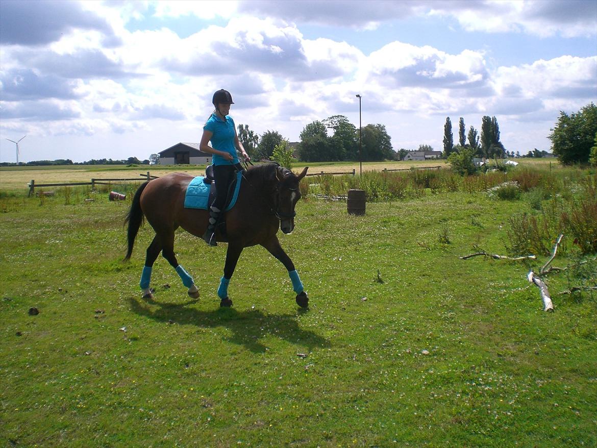 Oldenborg Naomi Nørgaard billede 13