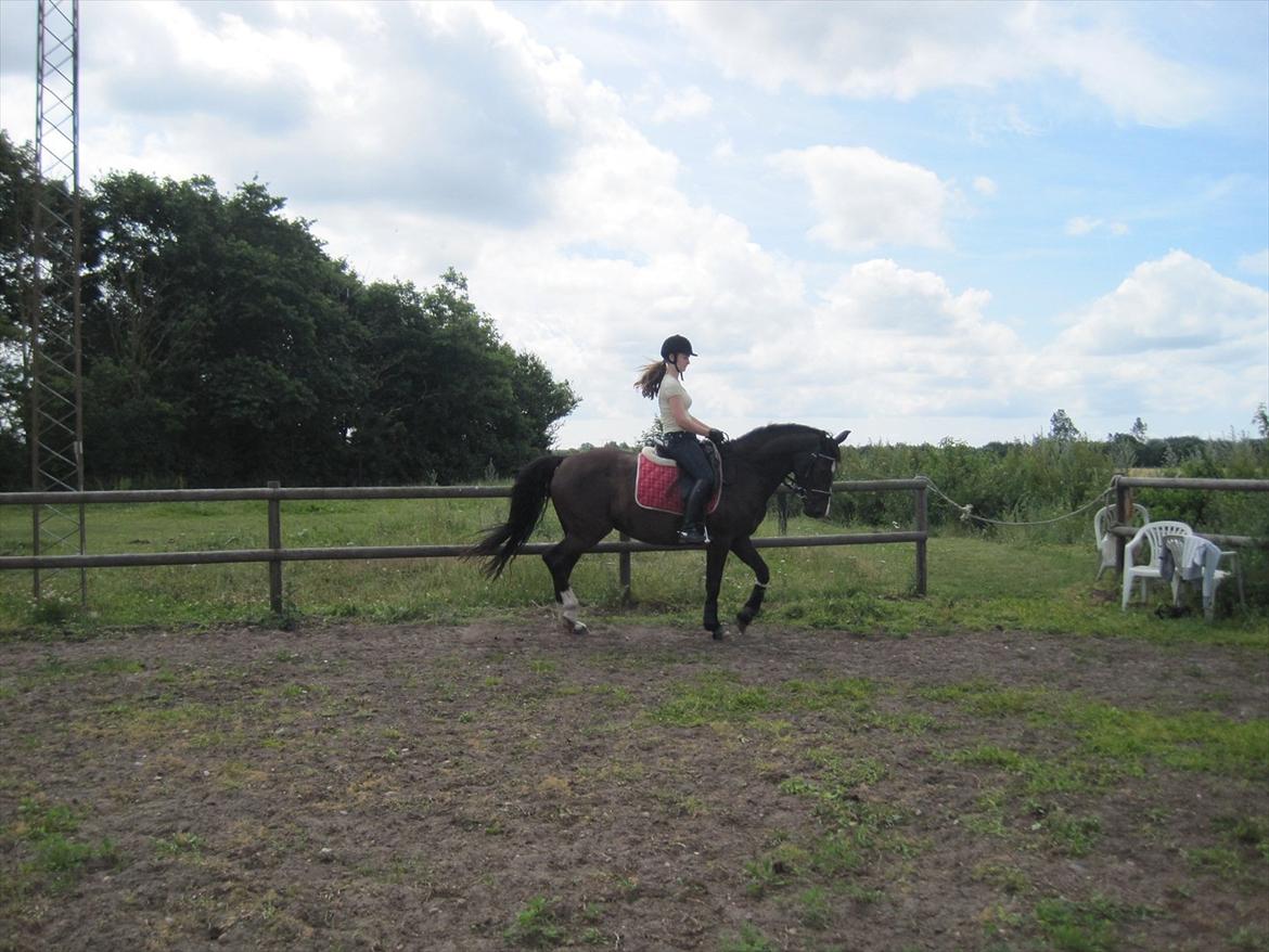 Holstener Jasmin billede 1