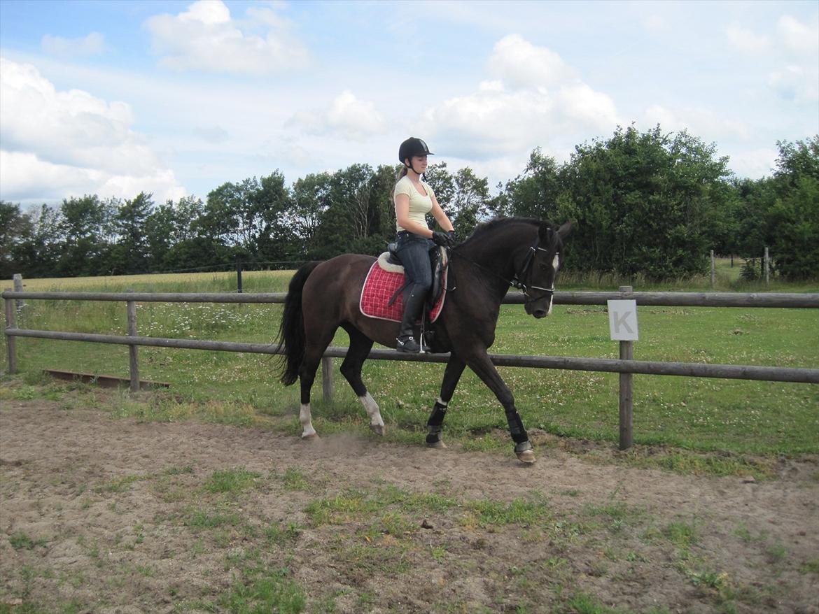 Holstener Jasmin billede 2