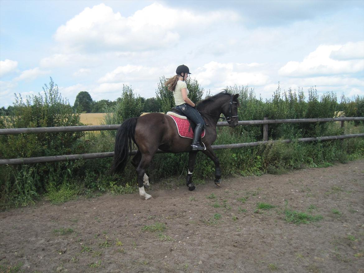 Holstener Jasmin billede 3