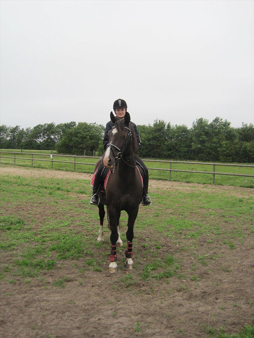 Holstener Jasmin billede 9