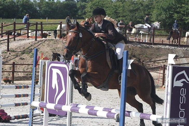 Irsk Sportspony Mill House girl - Mille til melby stævnet 2010 billede 12