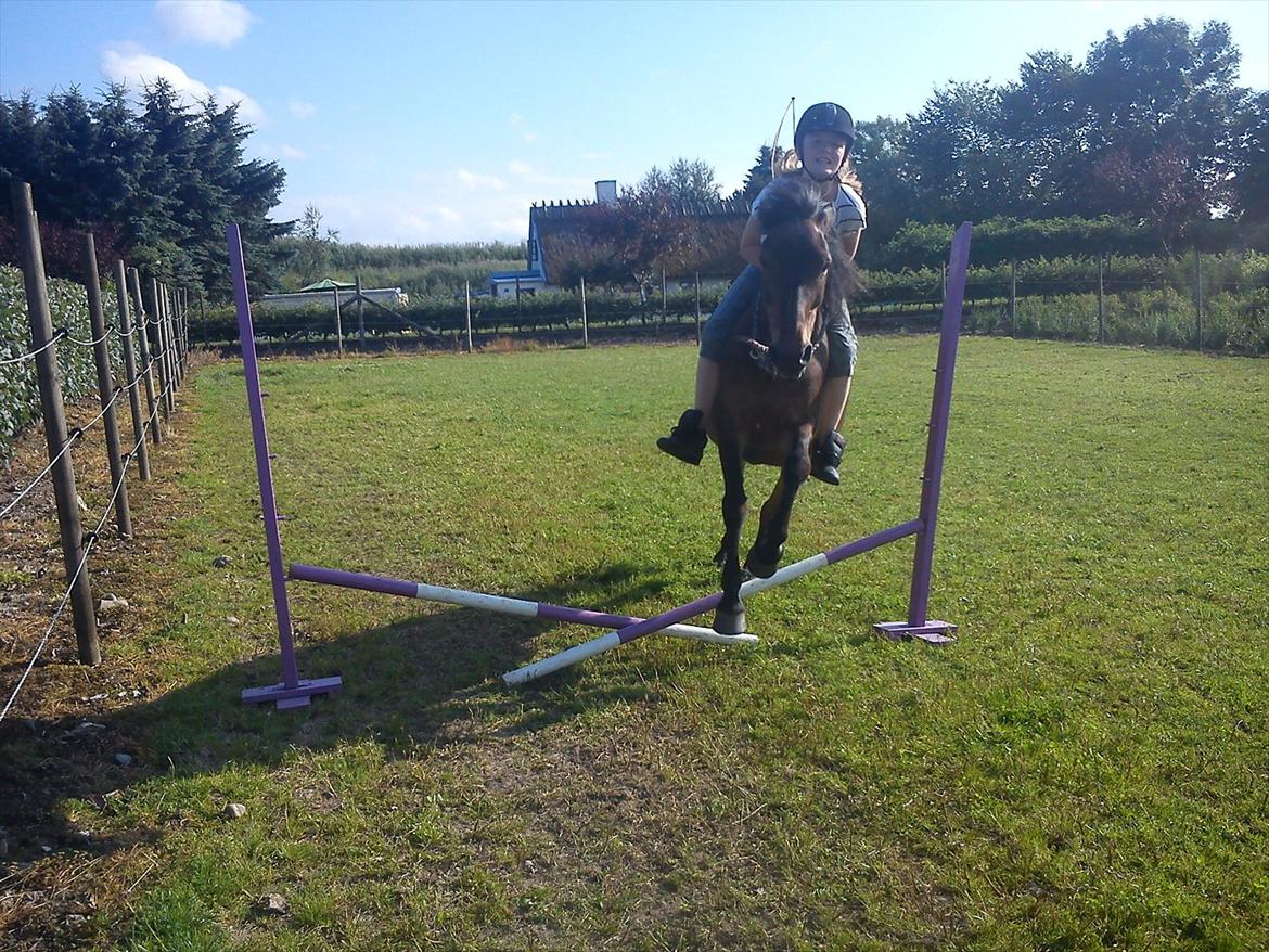 Anden særlig race Brune  [Savnet :'* ] -  20# Tak fordi i kiggede :) billede 20