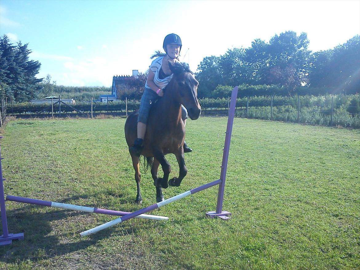 Anden særlig race Brune  [Savnet :'* ] - 12# Juhuu :) billede 12