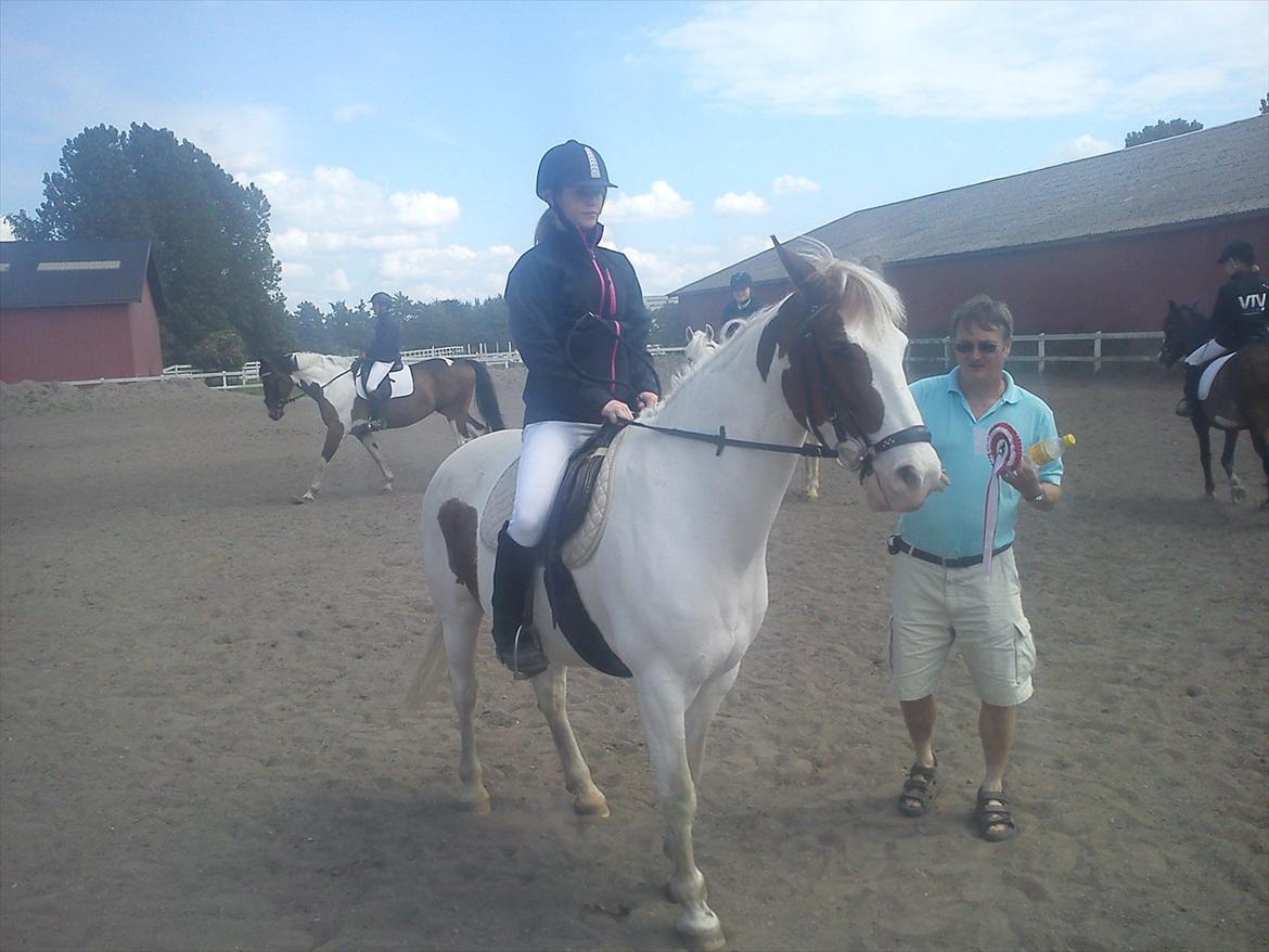 Anden særlig race Canupa billede 15