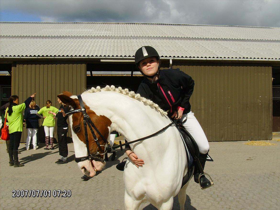 Anden særlig race Canupa billede 16