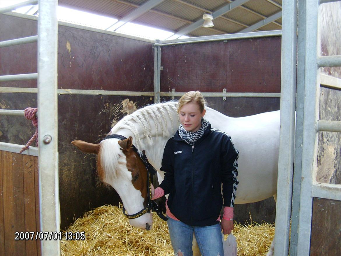 Anden særlig race Canupa billede 17