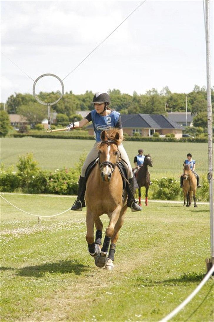 Hollandsk Sportspony Baloubet  *SOLGT* - Ringridning i Jebjerg 2011.
Vi tager ringen, fik en  2 plads. Balou var bare så skøn <3.
Fotograf John :-). billede 9