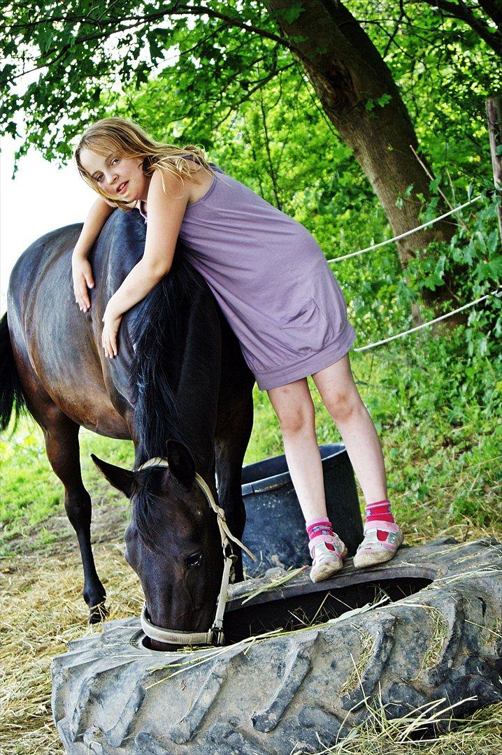 New Forest monica søblink<3 (solgt):'( - min pige 4-ever<3<3<3
foto: julie (min kusine) billede 11