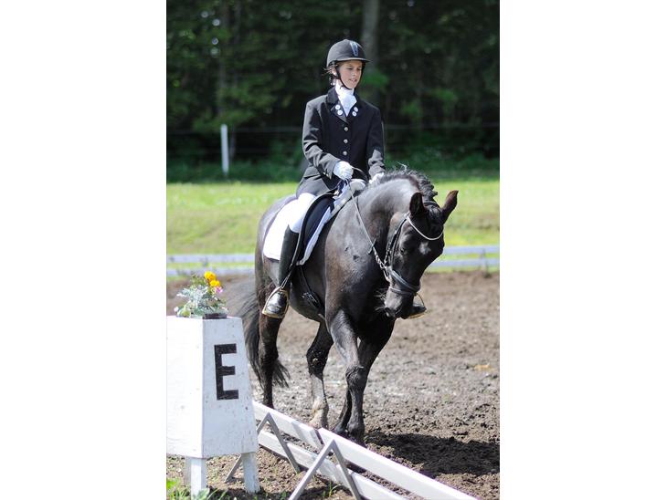 {{currentPhoto.altText}} billede {{currentPhoto.number}}