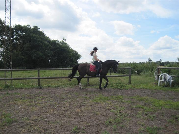 {{currentPhoto.altText}} billede {{currentPhoto.number}}