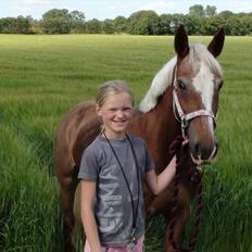 Anden særlig race Beauty 