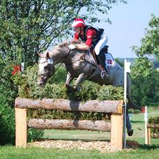 Appaloosa Simly Red