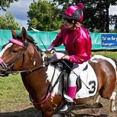 Pinto Secret Princess