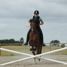 DSP Sir Lancelot (Solgt)