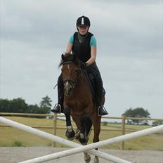 DSP Sir Lancelot (Solgt)