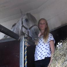 Anden særlig race Miss Perfect *solgt*